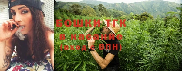 крисы Надым